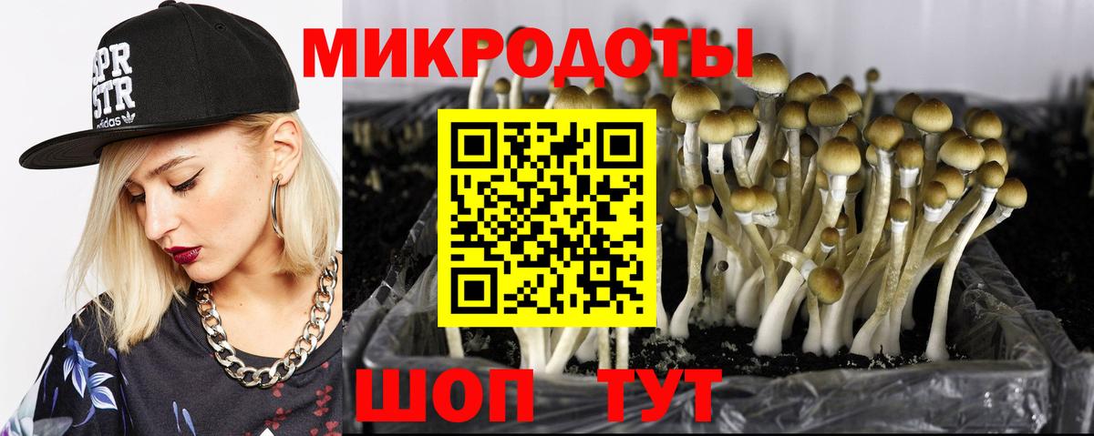 Псилоцибиновые грибы Psilocybine cubensis  Вход с VPN  магазин  наркотиков  Владивосток 