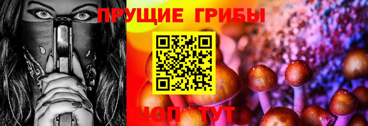 Псилоцибиновые грибы Magic Shrooms Владивосток